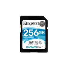 Карта памяти Kingston SDXC 256GB Canvas Go! Class 10 UHS-I U3 V30 SDG/256GB